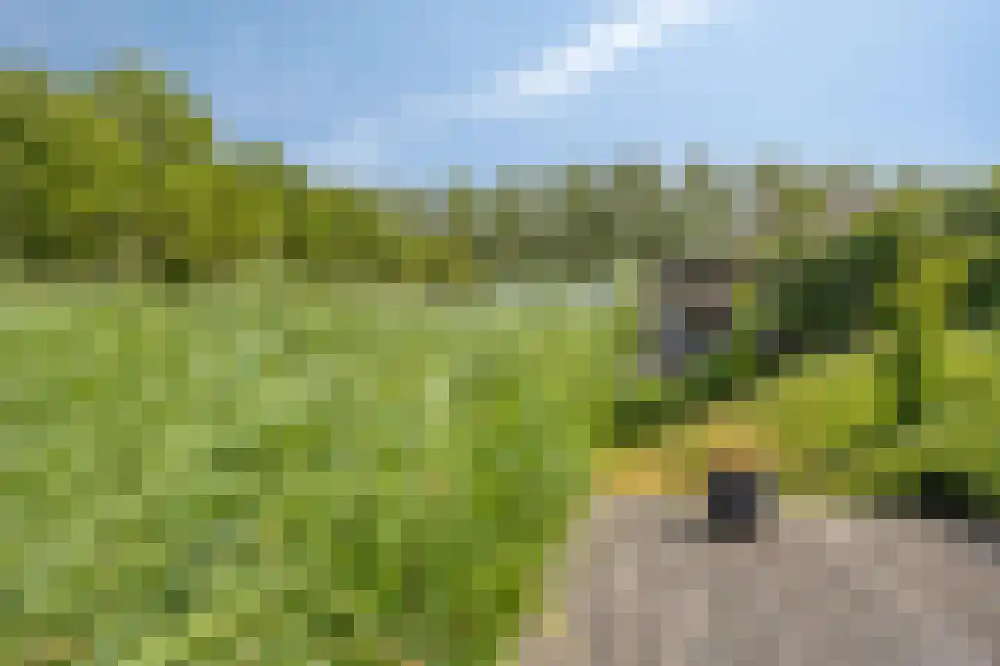 Hoofdweg 1273 Nieuw-Vennep thumbnail 36