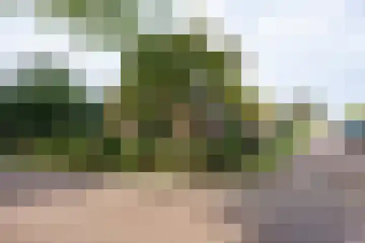 Hoofdweg 128 Hellum thumbnail 10