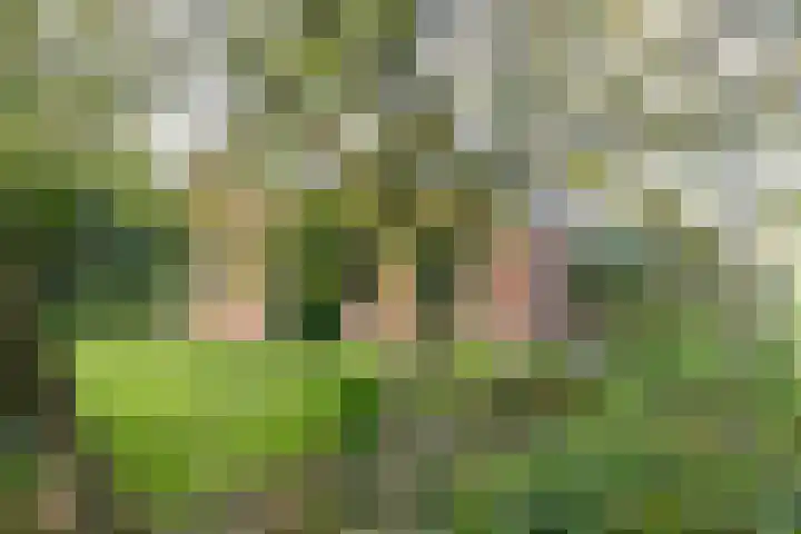Hoofdweg 128 Hellum thumbnail 13