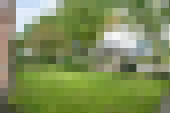 Hoofdweg 128 Hellum thumbnail 16