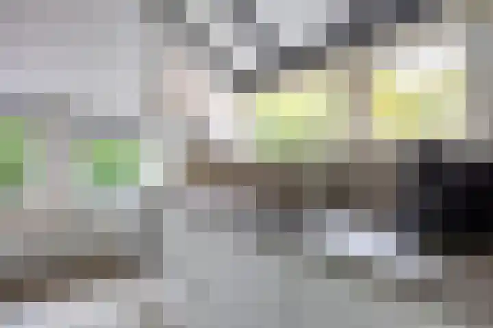 Hoofdweg 128 Hellum thumbnail 32