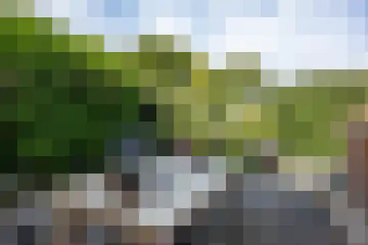 Hoofdweg 128 Hellum thumbnail 57