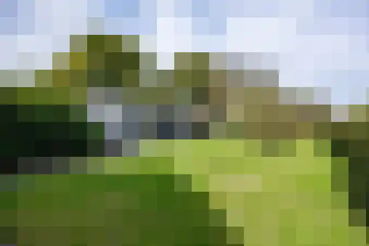 Hoofdweg 128 Hellum thumbnail 59