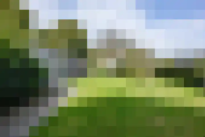 Hoofdweg 128 Hellum thumbnail 60