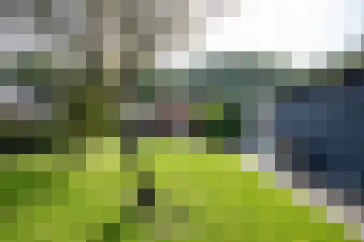 Hoofdweg 128 Hellum thumbnail 66
