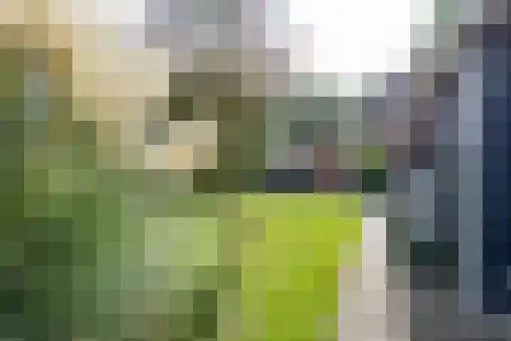 Hoofdweg 128 Hellum thumbnail 67