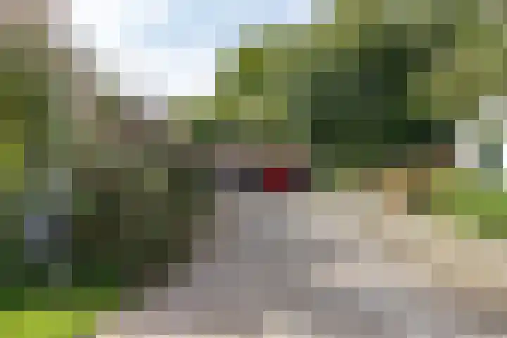 Hoofdweg 128 Hellum thumbnail 70
