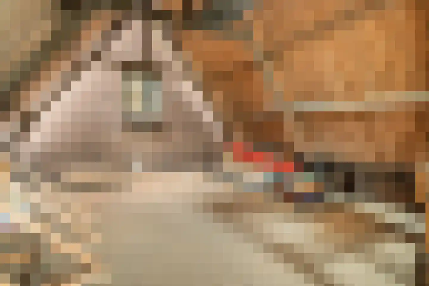Hoofdweg 129 Rotterdam thumbnail 54