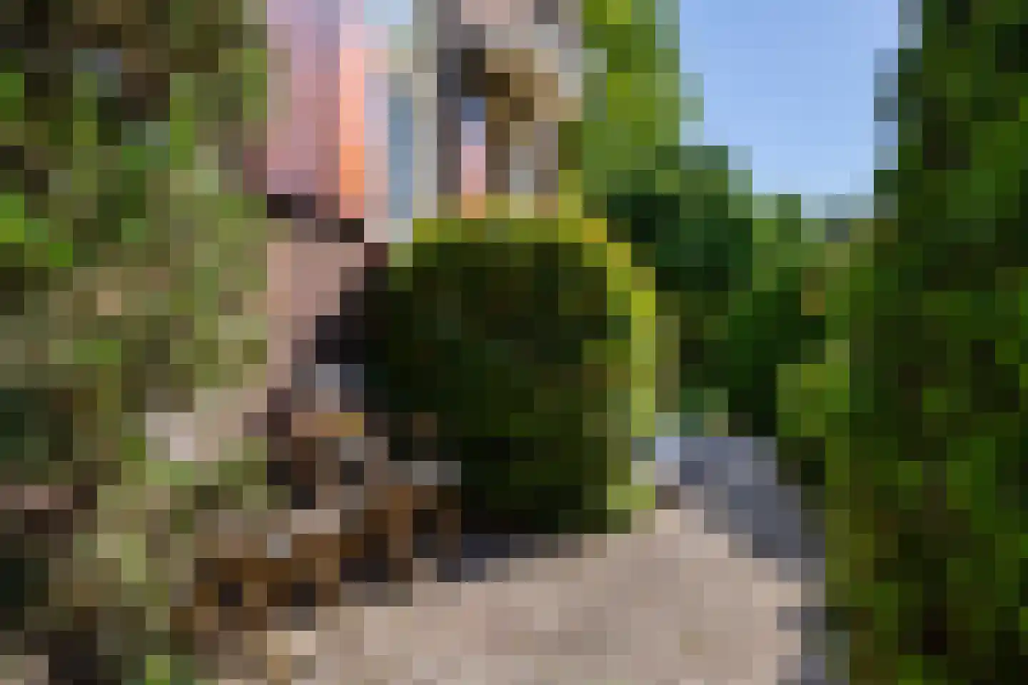 Hoofdweg 129 Rotterdam thumbnail 7