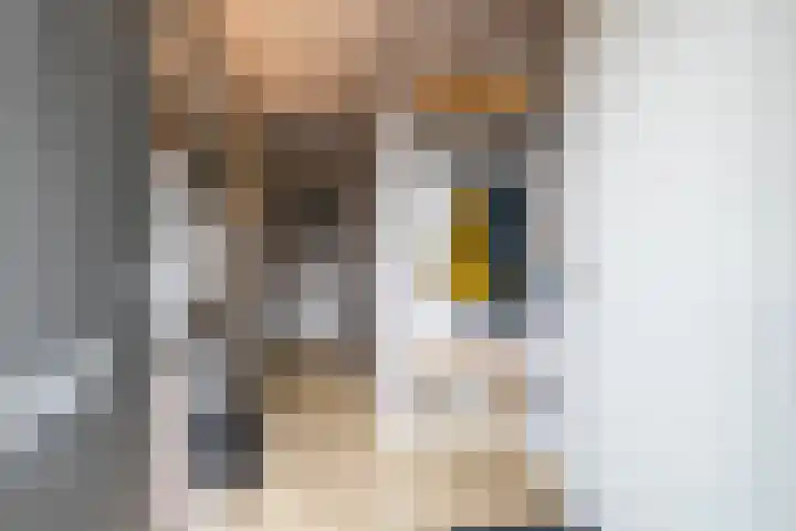 Hoofdweg 13 F Harkstede thumbnail 10