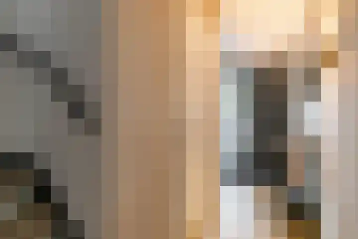 Hoofdweg 13 F Harkstede thumbnail 12