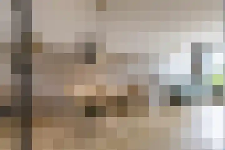 Hoofdweg 13 F Harkstede thumbnail 14