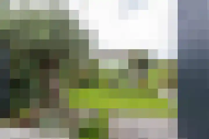 Hoofdweg 13 F Harkstede thumbnail 33