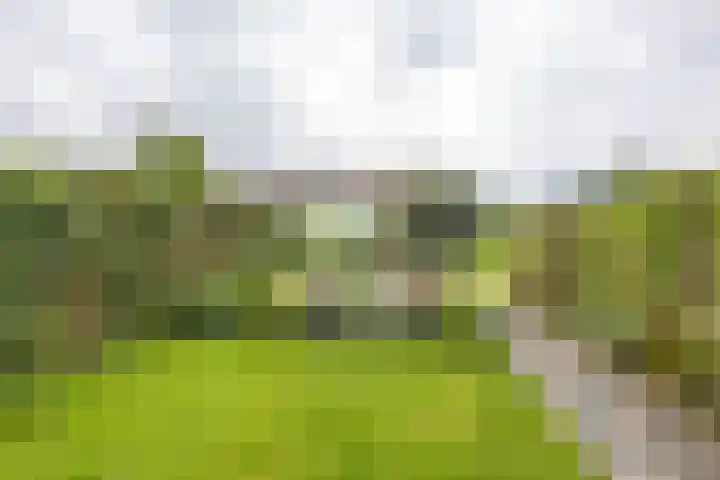 Hoofdweg 13 F Harkstede thumbnail 34