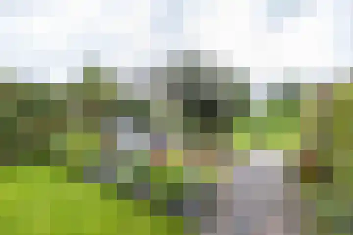 Hoofdweg 13 F Harkstede thumbnail 35