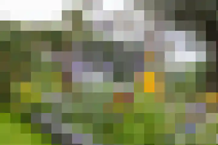 Hoofdweg 13 F Harkstede thumbnail 36
