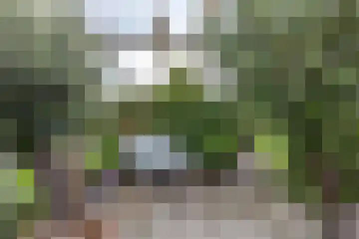 Hoofdweg 13 F Harkstede thumbnail 37