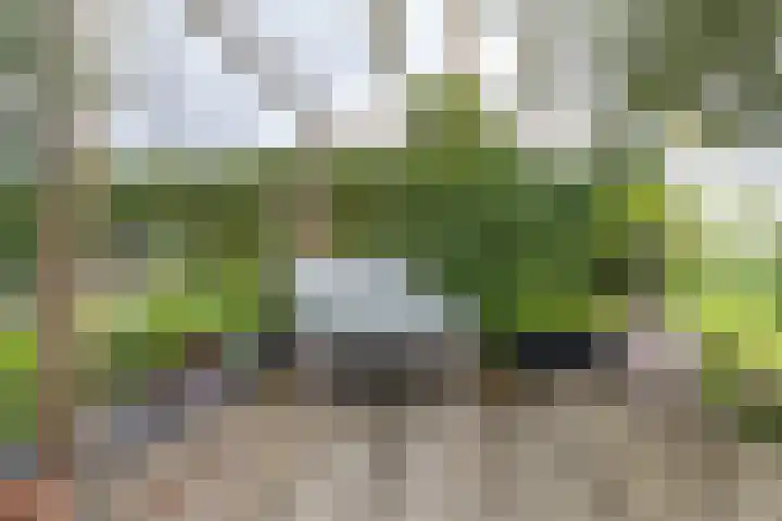 Hoofdweg 13 F Harkstede thumbnail 38