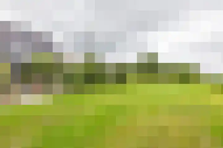 Hoofdweg 13 F Harkstede thumbnail 39