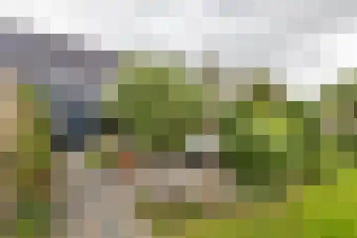 Hoofdweg 13 F Harkstede thumbnail 40