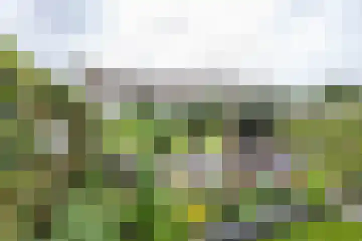 Hoofdweg 13 F Harkstede thumbnail 41