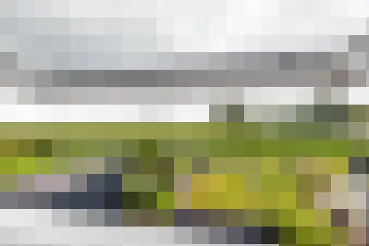 Hoofdweg 13 F Harkstede thumbnail 49