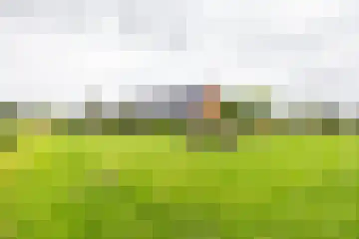 Hoofdweg 13 F Harkstede thumbnail 5