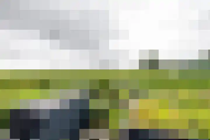 Hoofdweg 13 F Harkstede thumbnail 50