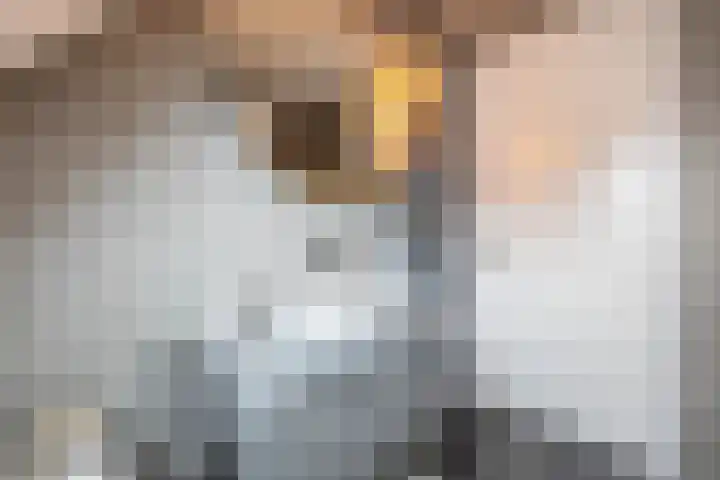 Hoofdweg 13 F Harkstede thumbnail 54