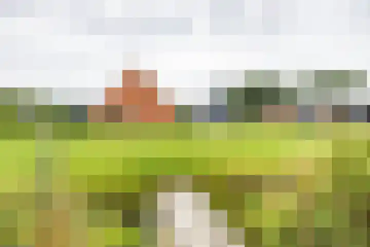 Hoofdweg 13 F Harkstede thumbnail 6