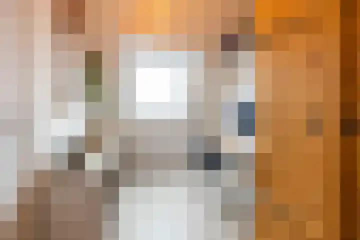 Hoofdweg 13 F Harkstede thumbnail 64