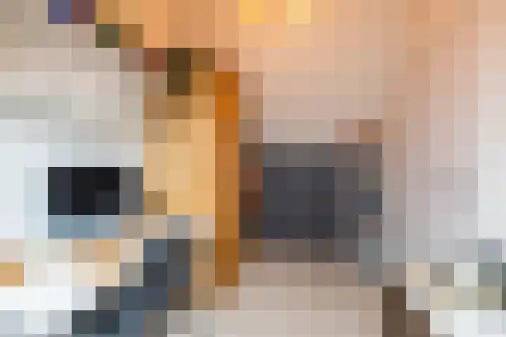 Hoofdweg 13 F Harkstede thumbnail 65