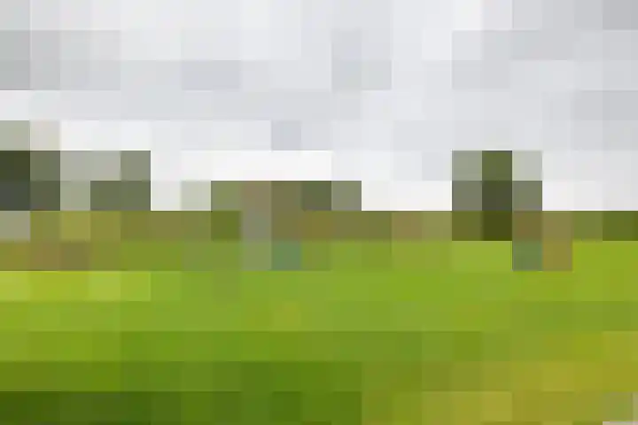 Hoofdweg 13 F Harkstede thumbnail 7