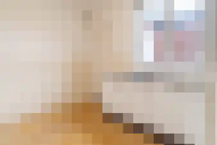 Hoofdweg 13 Rilland thumbnail 12