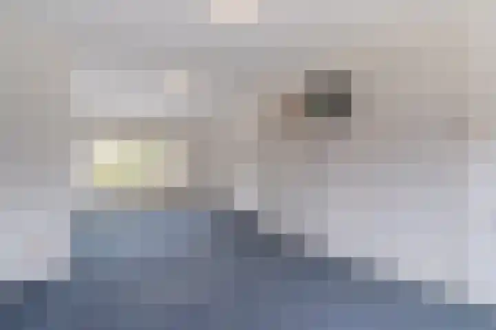 Hoofdweg 13 Rilland thumbnail 19