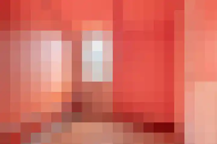 Hoofdweg 13 Rilland thumbnail 20