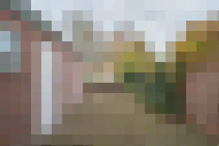Hoofdweg 13 Rilland thumbnail 22