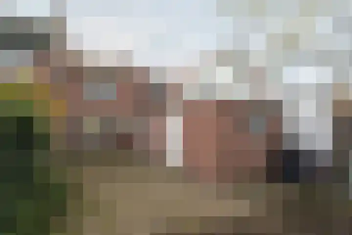 Hoofdweg 13 Rilland thumbnail 23