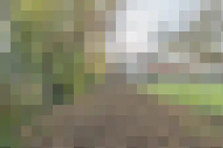 Hoofdweg 13 Rilland thumbnail 24