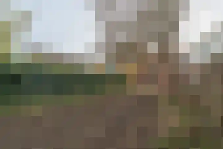 Hoofdweg 13 Rilland thumbnail 4