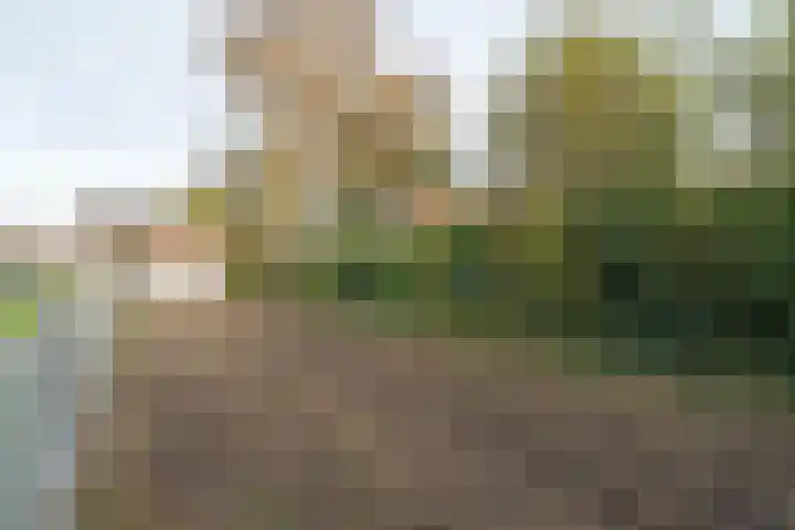 Hoofdweg 13 Rilland thumbnail 5