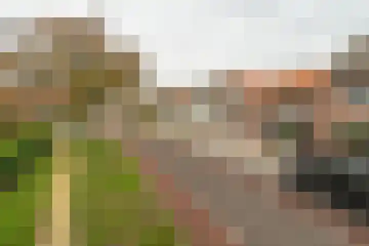 Hoofdweg 13 Rilland thumbnail 6