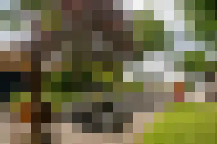 Hoofdweg 130 in Bovensmilde