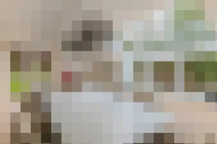Hoofdweg 130 Bovensmilde thumbnail 18