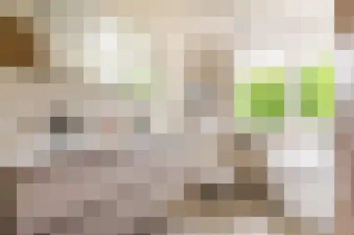 Hoofdweg 130 Bovensmilde thumbnail 4