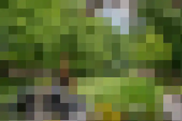 Hoofdweg 130 Bovensmilde thumbnail 50