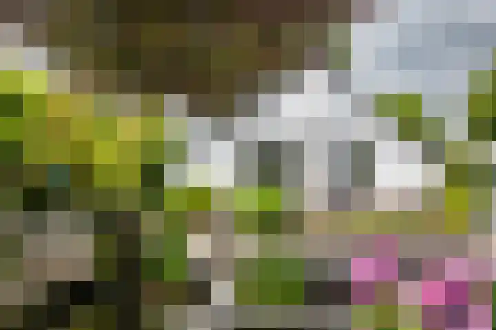 Hoofdweg 130 Bovensmilde thumbnail 51