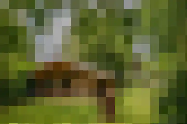 Hoofdweg 130 Bovensmilde thumbnail 55