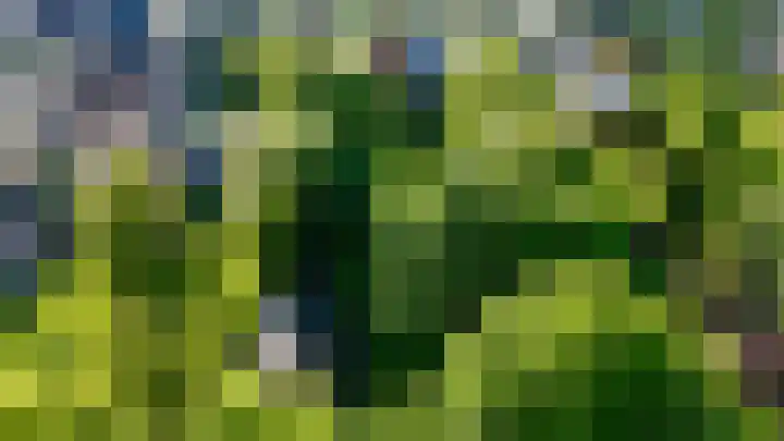 Hoofdweg 130 Bovensmilde thumbnail 66