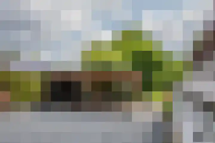 Hoofdweg 130 Bovensmilde thumbnail 8